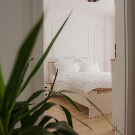 Modern Apartment In Timişoara Eksteriør bilde