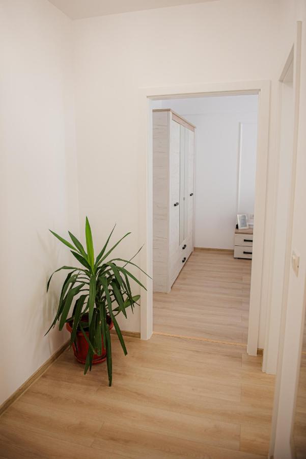 Modern Apartment In Timişoara Eksteriør bilde